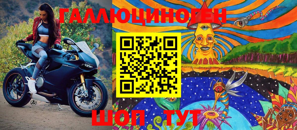 Псилоцибиновые грибы Psilocybine cubensis Торжок