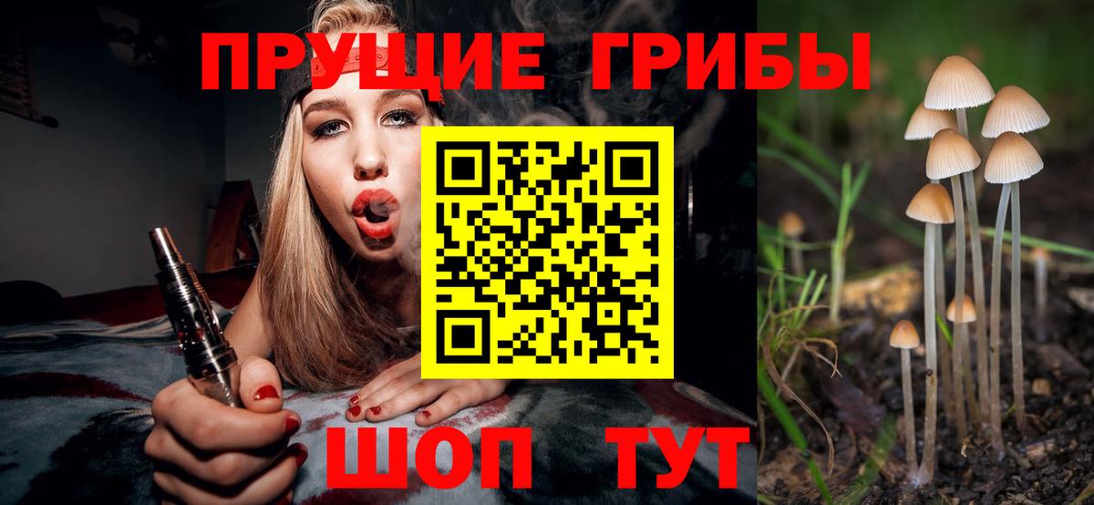 продажа наркотиков  Вход с VPN  Торжок  Галлюциногенные грибы Psilocybe 